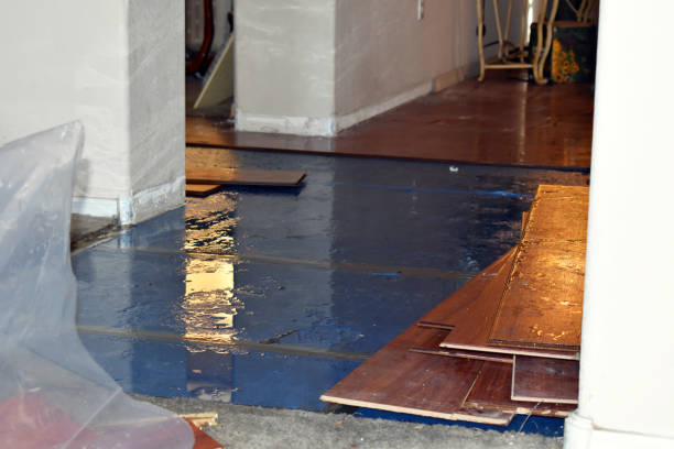 Professional Basement Flood Cleanup technician working in Randolph, MS