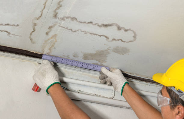 Reliable Basement Flood Cleanup contractor in Randolph, MS by Aqua Guard Water Damage